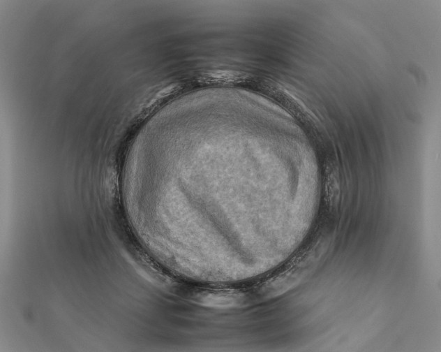 X0000112090459200908251131