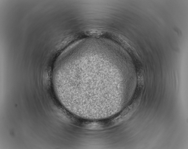 X0000112090460200908251131