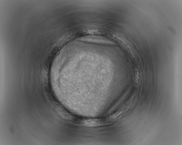 X0000112090461200908251131