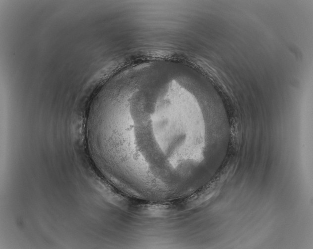 X0000112090462200908251131