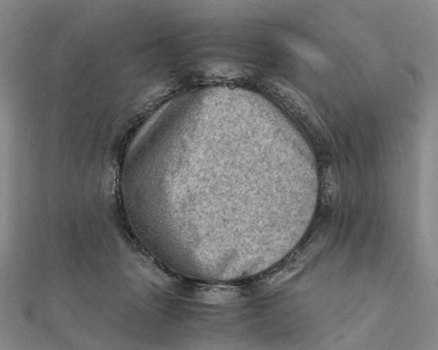 X0000112090463200908251131