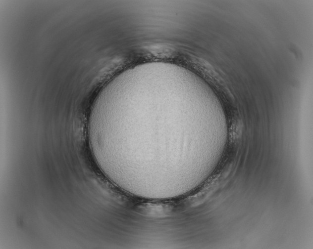 X0000112090464200908251131