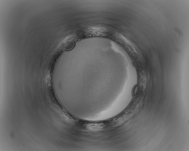 X0000112090465200908251131