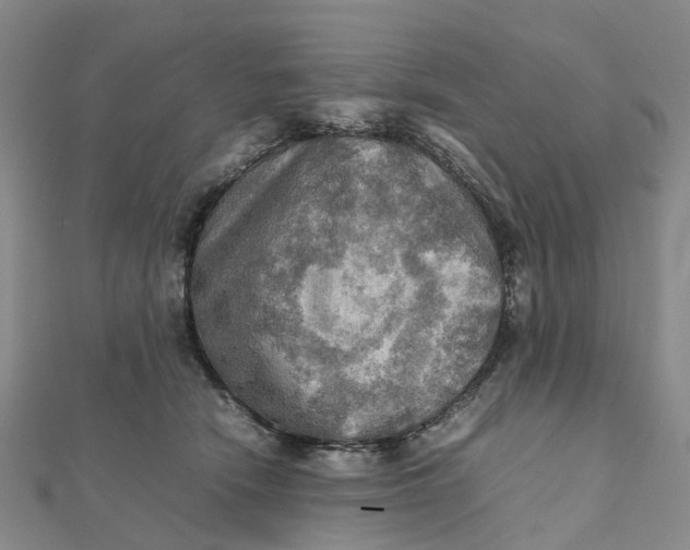 X0000112090466200908251131
