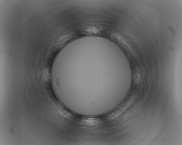 X0000112090467200908251131