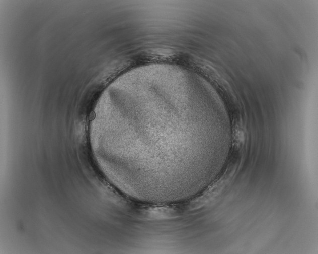 X0000112090468200908251131