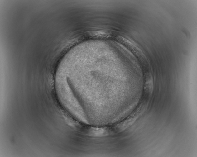 X0000112090469200908251131