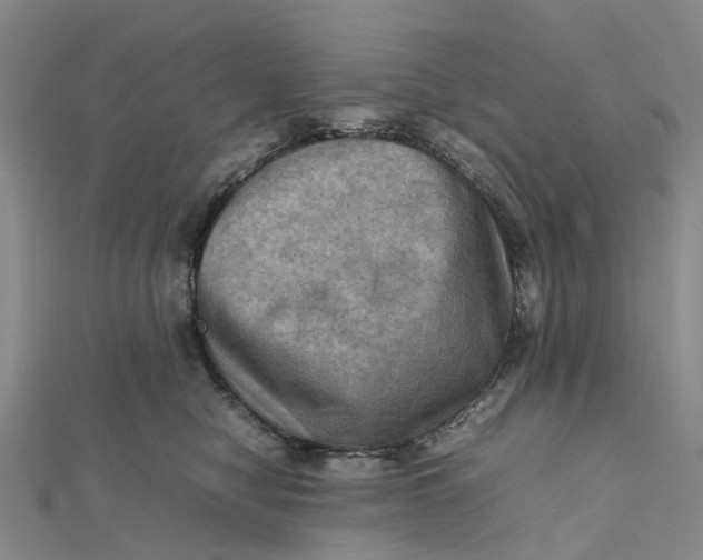 X0000112090470200908251131
