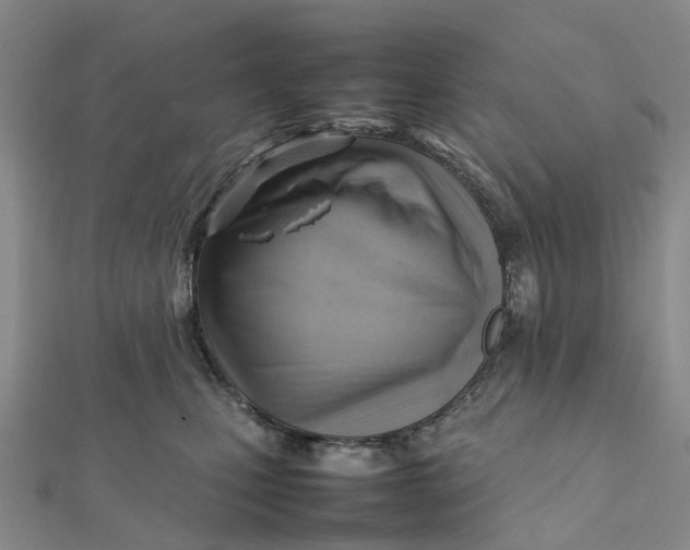 X0000112090471200908251131