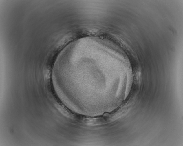 X0000112090472200908251131
