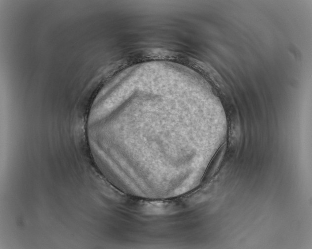 X0000112090473200908251131