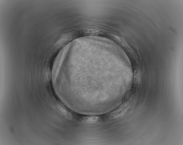 X0000112090474200908251131