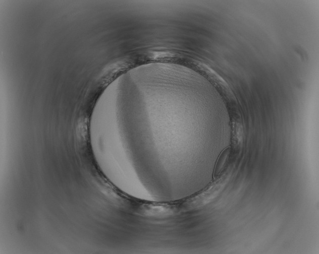 X0000112090475200908251131