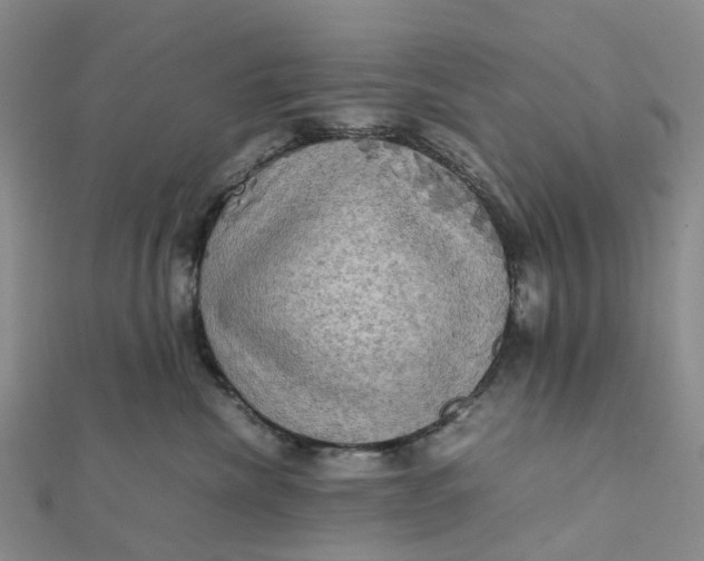 X0000112090476200908251131