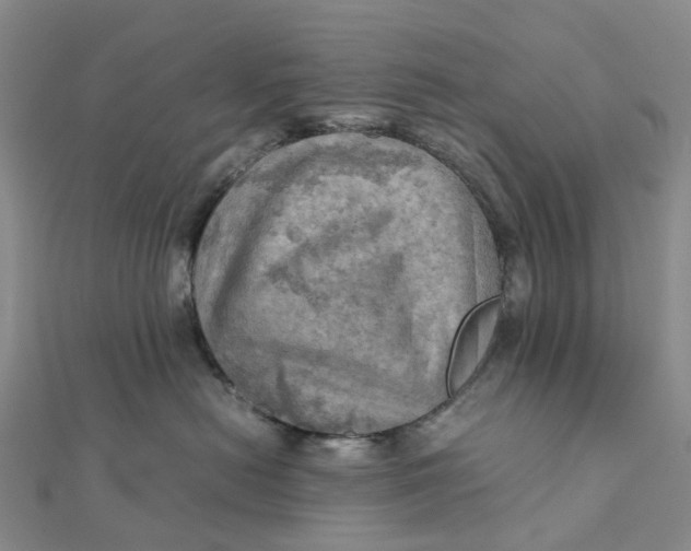 X0000112090478200908251131