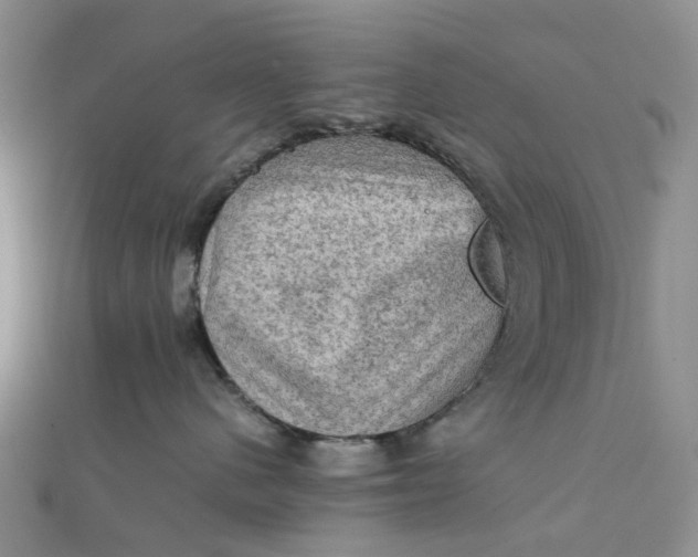 X0000112090480200908251131