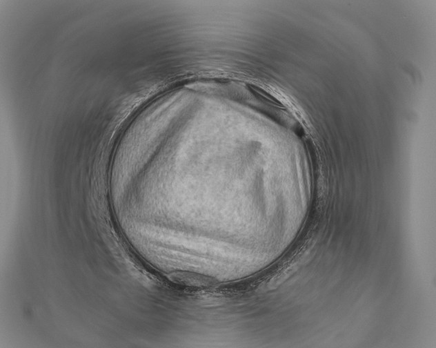 X0000112090481200908251131