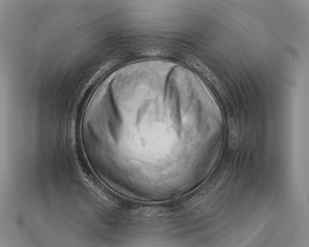 X0000112090482200908251131