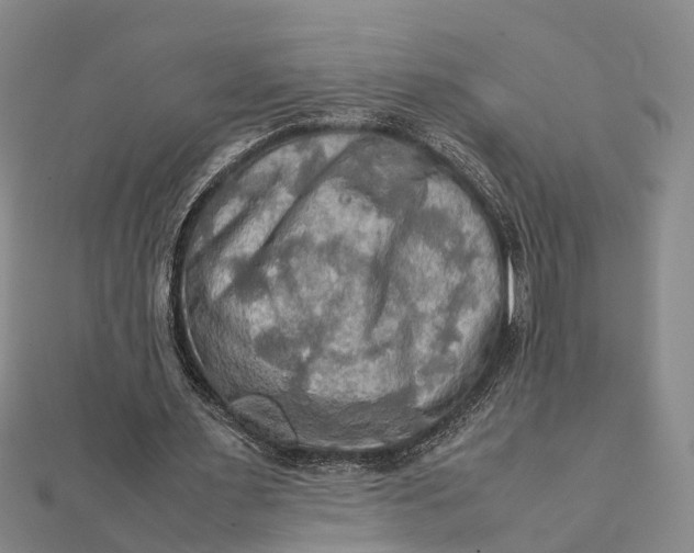 X0000112090483200908251131