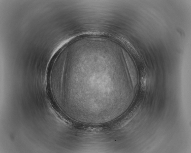 X0000112090484200908251131