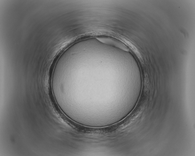 X0000112090485200908251131