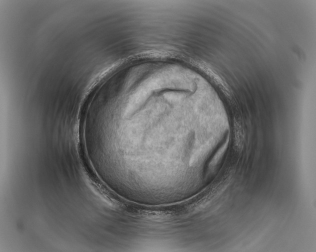 X0000112090486200908251131