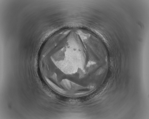 X0000112090487200908251131
