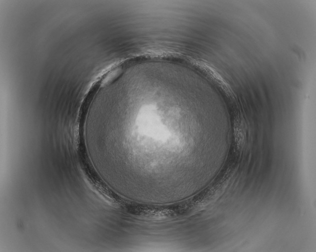 X0000112090488200908251130