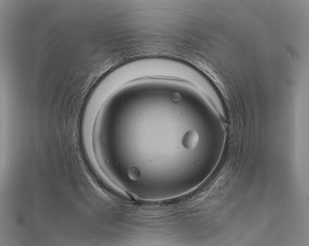 X0000112090489200908251130