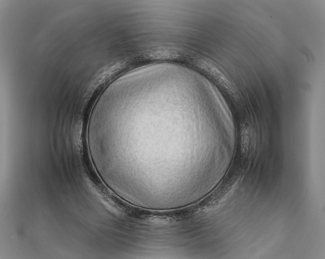 X0000112090490200908251130