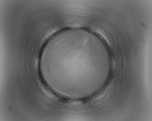 X0000112090491200908251130