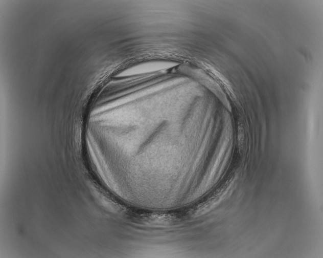 X0000112090493200908251130