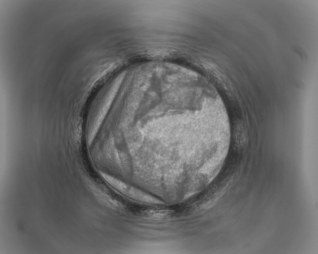 X0000112090495200908251130