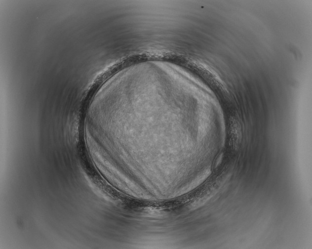 X0000112090496200908251130