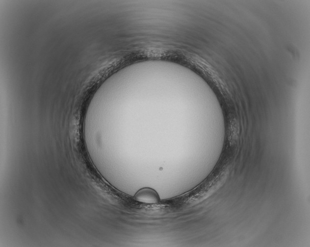 X0000112090497200908251130