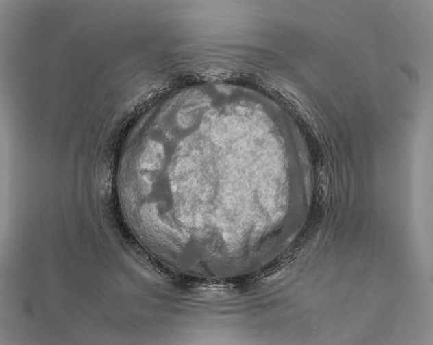X0000112090499200908251130