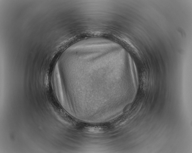 X0000112090500200908251130