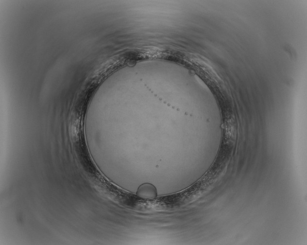 X0000112090503200908251130