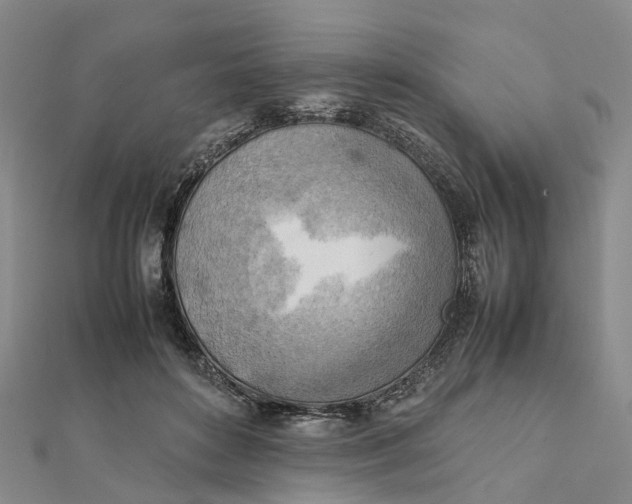 X0000112090504200908251130