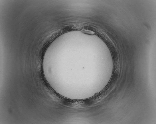 X0000112090505200908251130