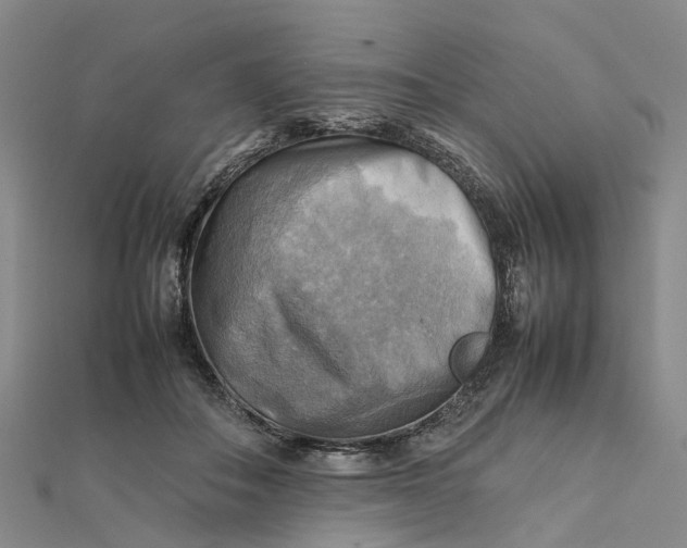 X0000112090506200908251130