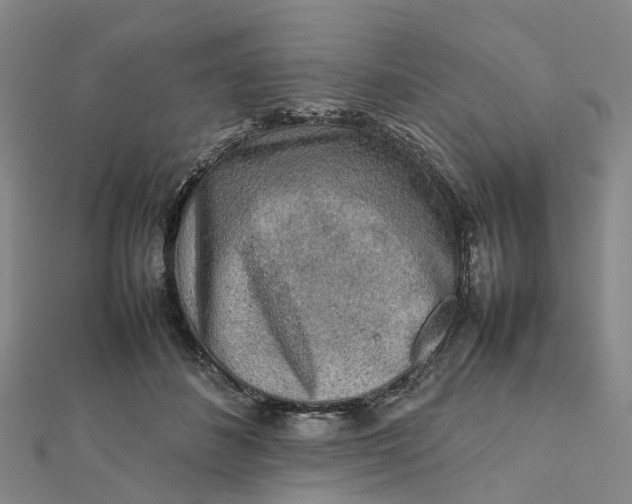 X0000112090508200908251130