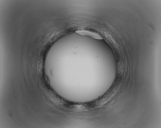 X0000112090509200908251130