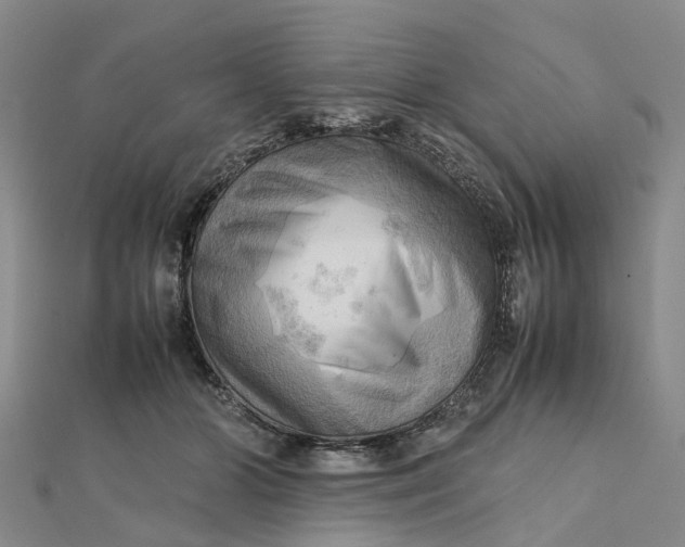 X0000112090510200908251130