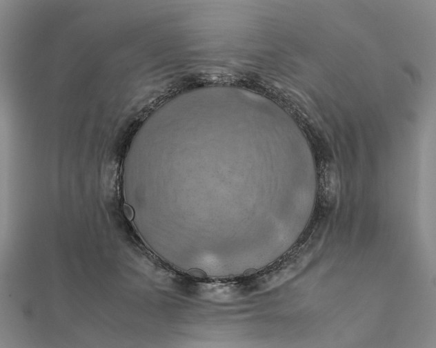 X0000112090511200908251130