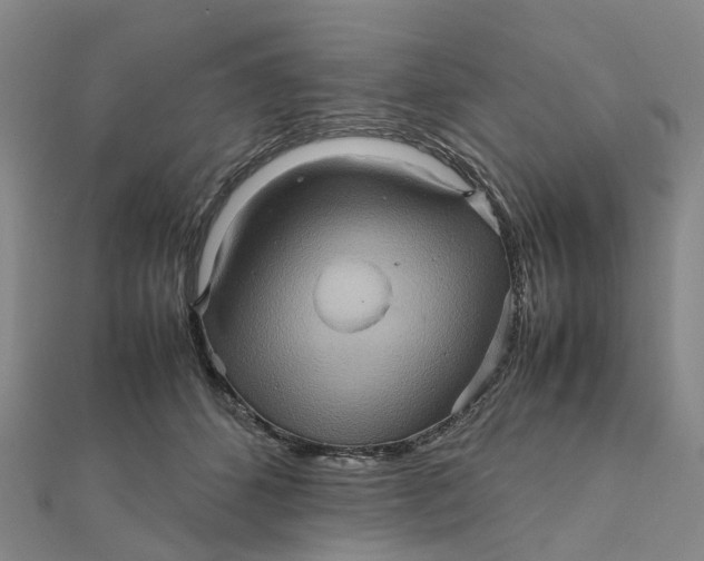 X0000112090512200908251130