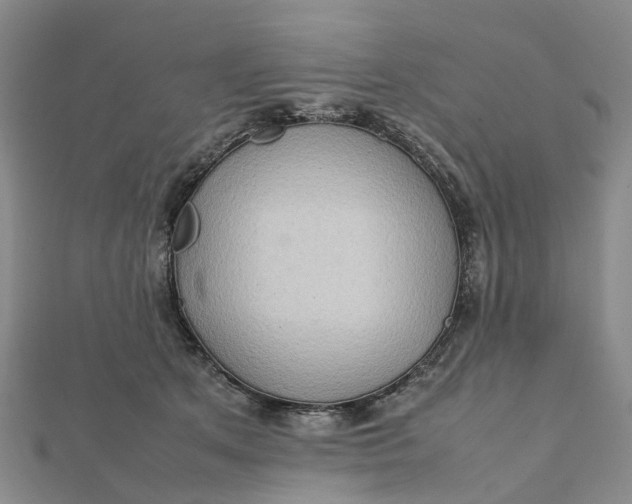 X0000112090513200908251130