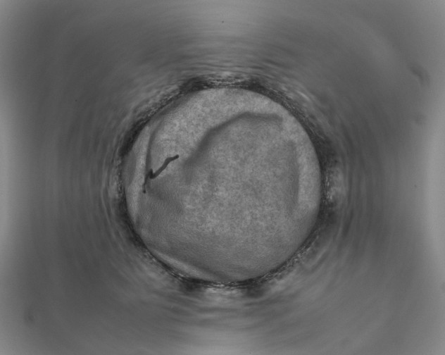 X0000112090515200908251130