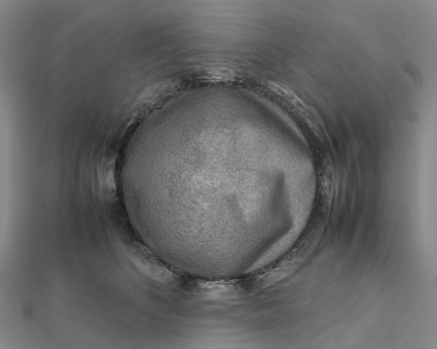 X0000112090516200908251130