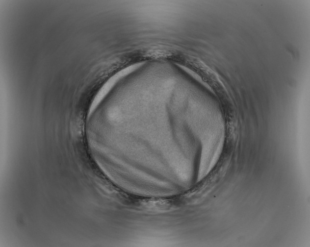 X0000112090517200908251130